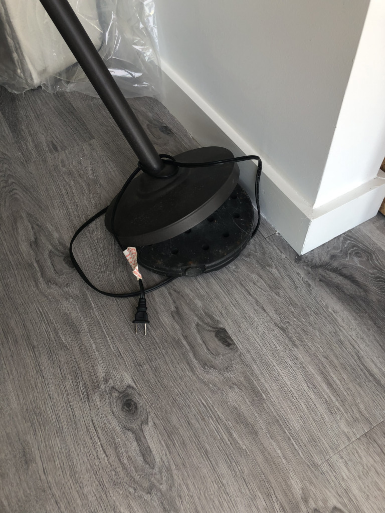 Photo by Maria Woehr of Anthem Moving LLC - Large