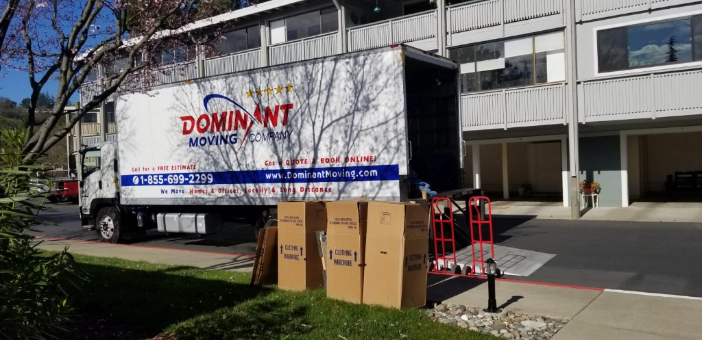 Photo by Dmitrii Starostenkov of Dominant Moving Company - Large