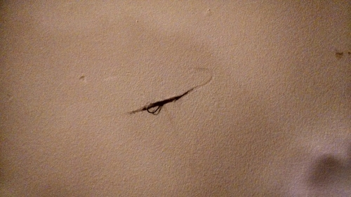 Second photo by Steven Frost of 495 Movers - Large