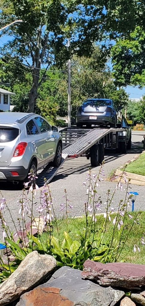Second photo by Ginny Philippeaux of Pride Car Shipping Inc - Large