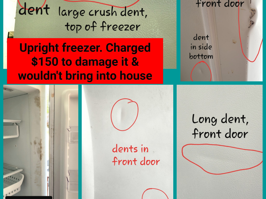 Second photo by Carol Rock of Transnational Moving Systems - Large