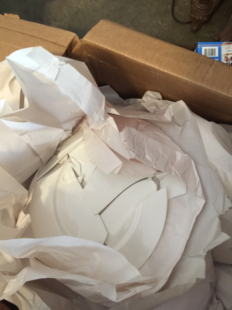 Photo by Janet Ensign of Transit Moving Systems - Large