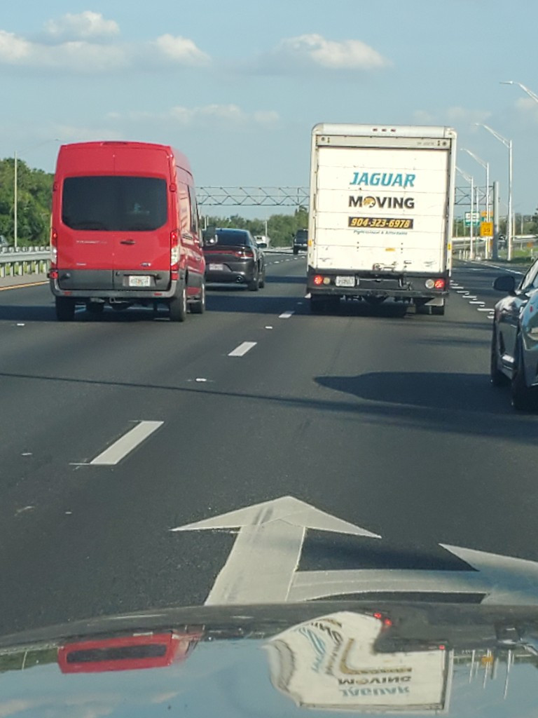 Photo by Christopher Mendez of Jaguar moving - Large