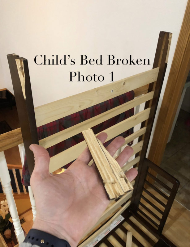 Photo by Darlene Fitzgibbon of Straightaway Moving & Storage - Large