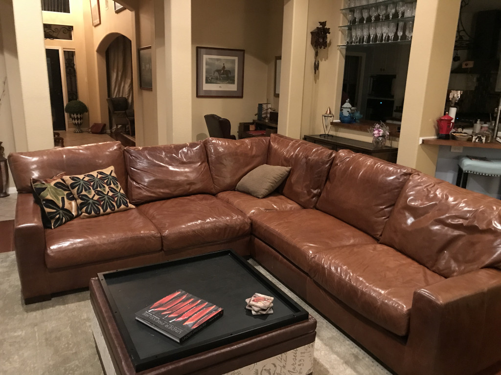 Photo by Toni Haas Williams of Square Cow Movers - Large