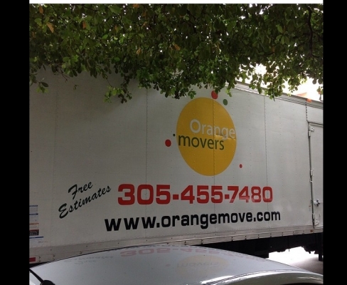 Photo by L. Pomponio of Orange Movers - Large