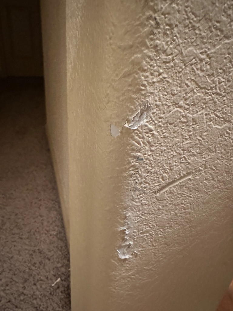 Photo by Susan Busdiecker of GMR Transport Solutions LLC - Large