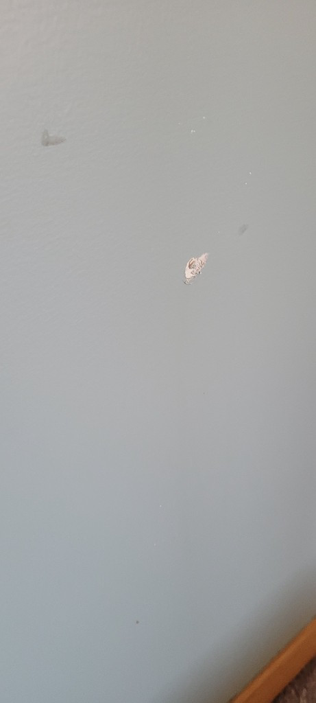 Second photo by Terrance Riley of Right A-Way Movers - Large