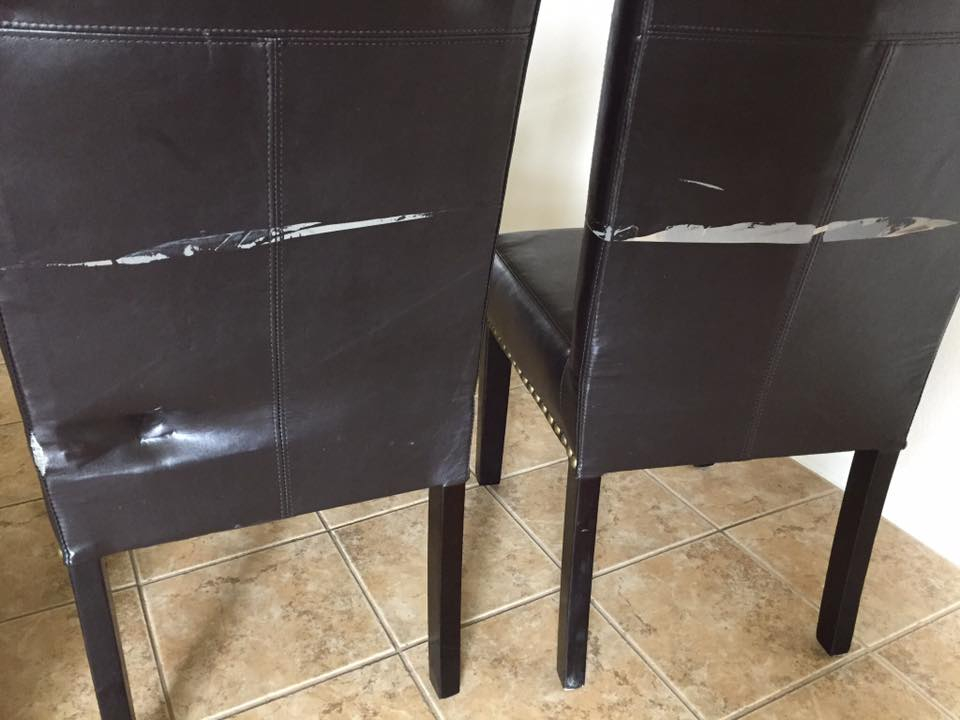 Second photo by Jarka Woody of Sprint Van Lines - Large