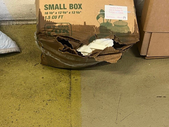 Photo by Debi Roher of Starline Vanlines LLC - Large