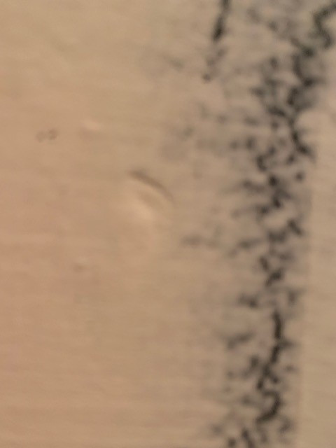 Second photo by Lisa Emmons of College Hunks Hauling Junk & Moving - Large