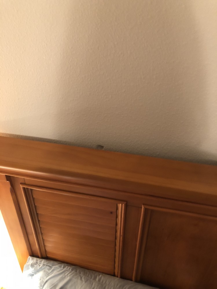 Second photo by Marissa Cruz of All My Sons Moving and Storage - Large