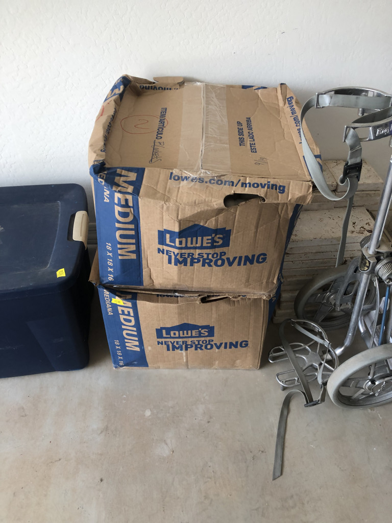 Photo by Rebecca Hoskins of Active Moving Inc - Large