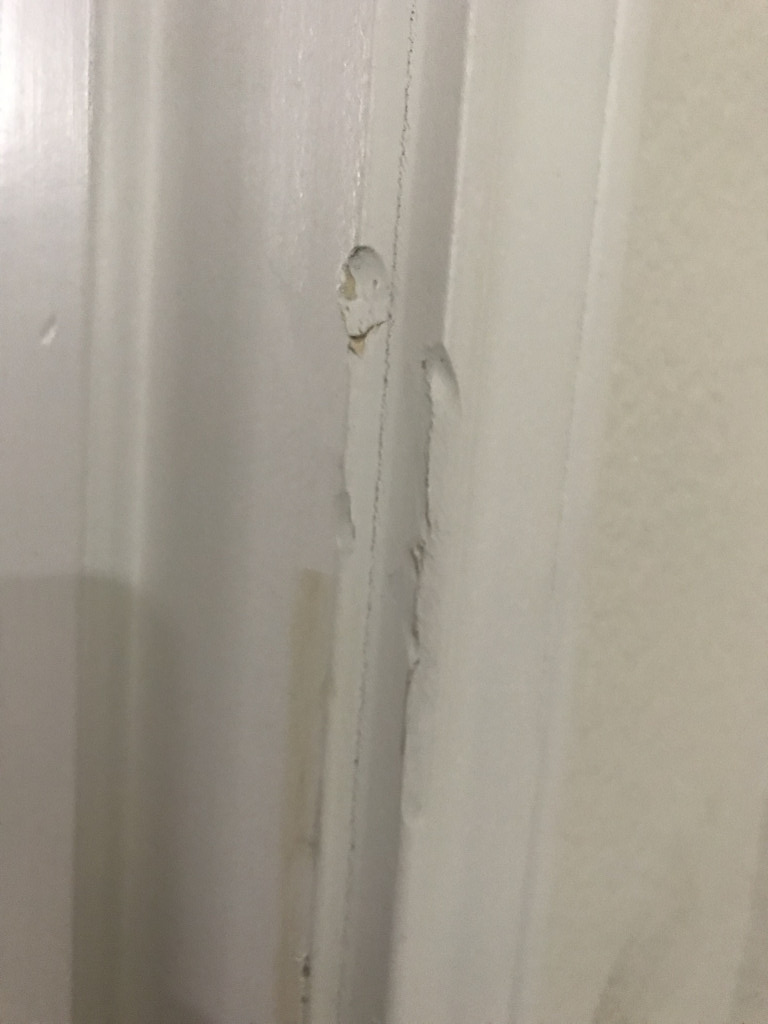 Second photo by Trine Hernandez of All My Sons Moving and Storage - Large