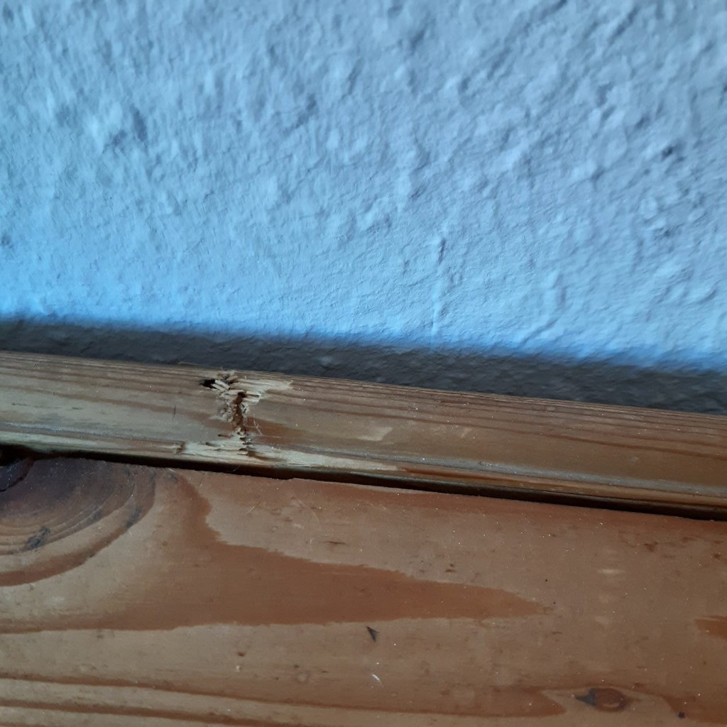 Photo by Horst Rossmann of RST-Systemtrans - Large