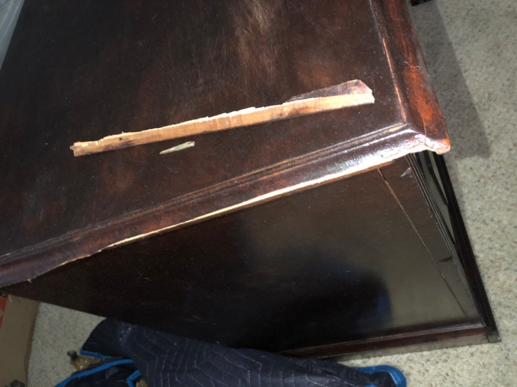 Photo by Bahar Momeni of Transit Moving Systems - Large