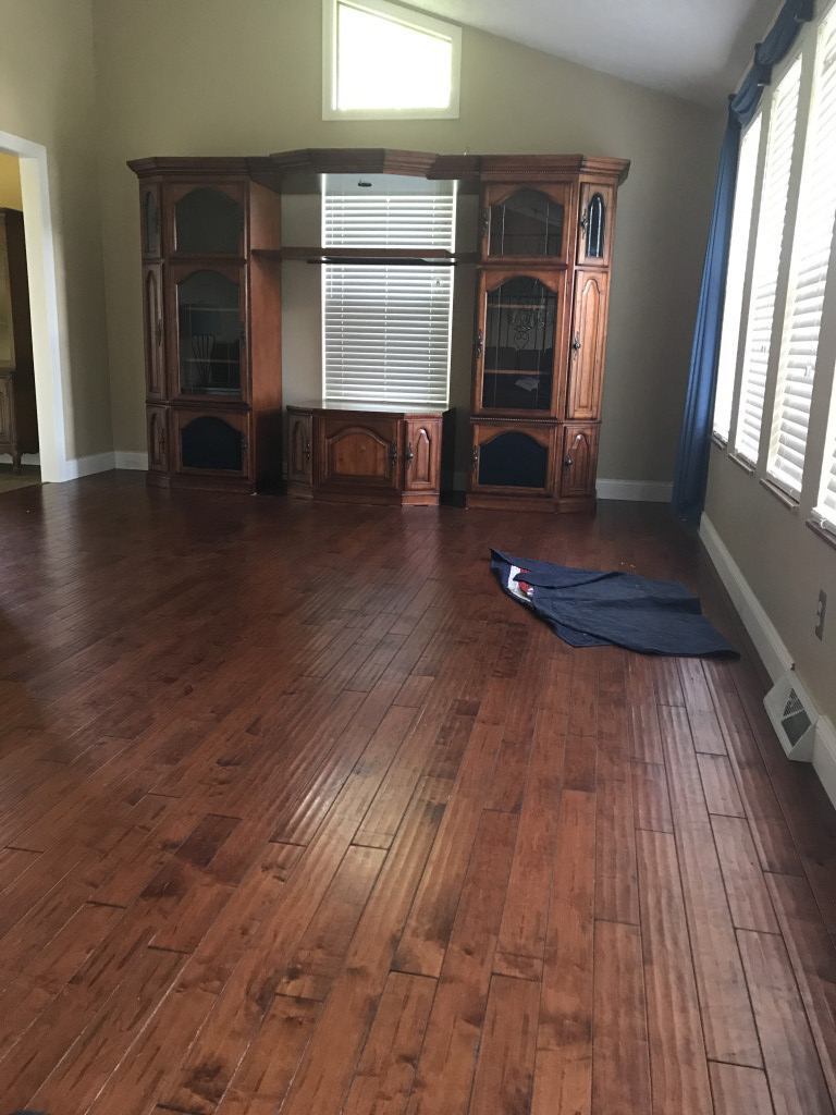 Photo by Sasha Sprague of Boost Express Van Lines - Large