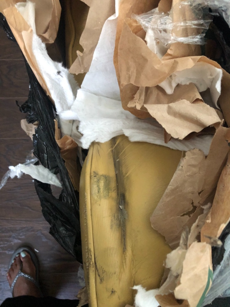 Second photo by Charlene Madkins of Moving Pro US - Large