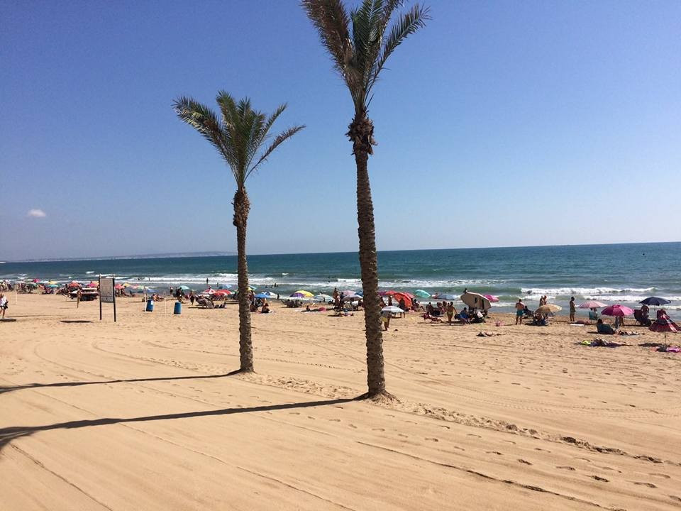 Photo by Spanish Homes In The Sun of PSS International Removals - Large