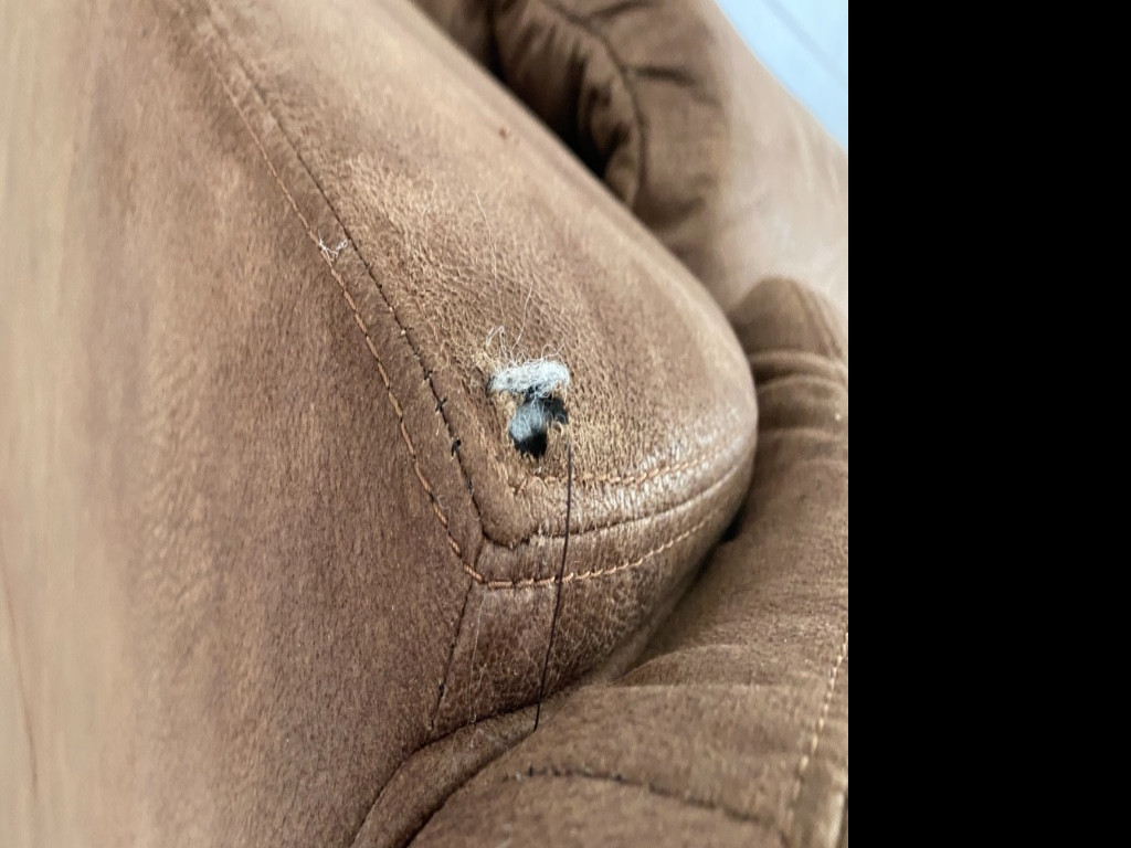 Photo by Jorge Gonzalez of Mov2Day - Large