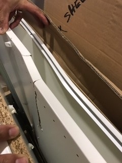 Photo by Niraj of Allied Pickfords Singapore - Large