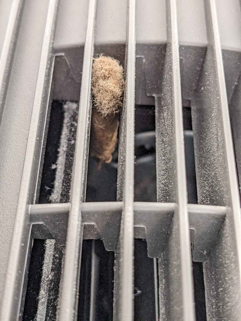 Second photo by John Livingston Seagull of CR7 Moving and Storage - Large