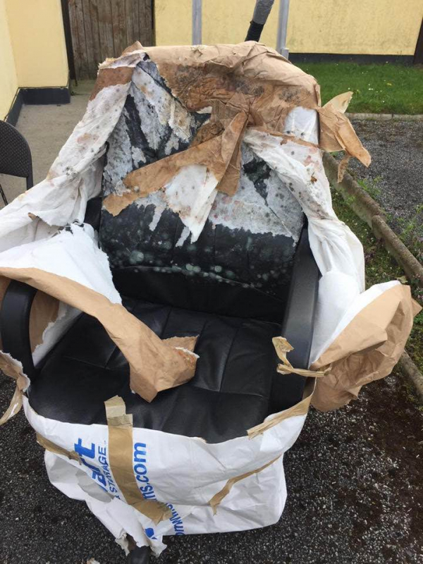 Second photo by Celine Collins of Stewart Moving and Storage - Large