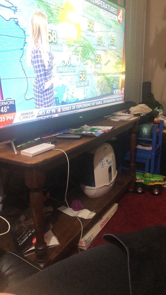 Photo by Cheetah Baby of Upline Moving - Large