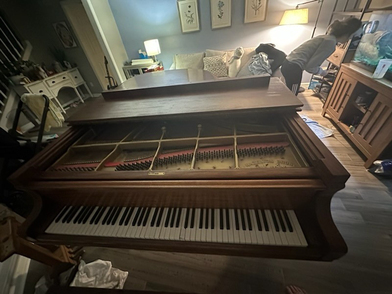 Photo by Gretchen Sting of Sunflower Transit LLC - Large