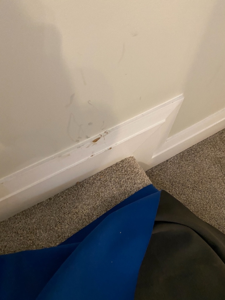 Photo by Jennifer Hewko of Burly Boyz Moving & Storage - Large