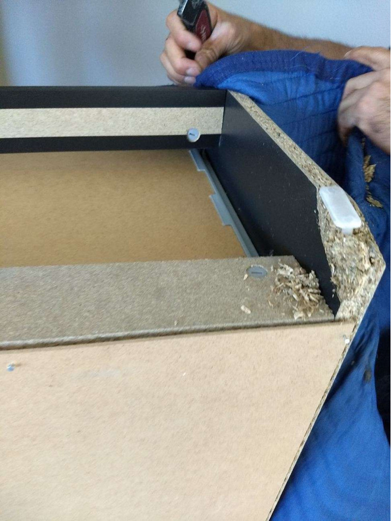 Photo by Lindsay Dickerson of Future Van Lines - Large