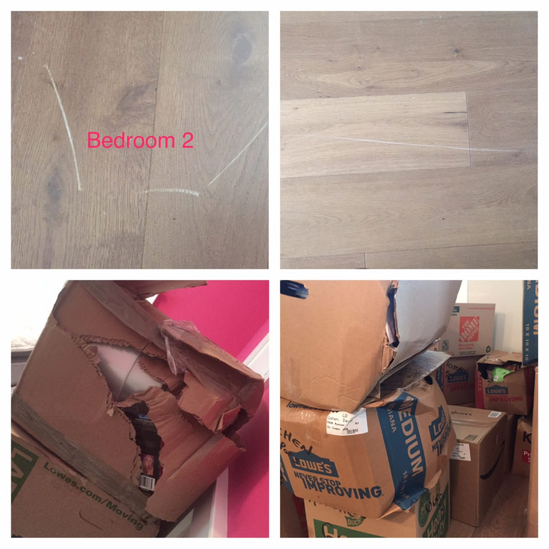 Photo by Dave Cohen of FlatRate Moving - Large