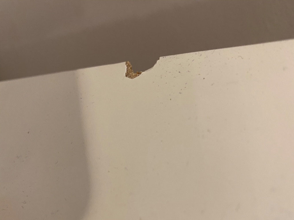 Photo by Ana Guiu of Imperial Moving and Storage - Large