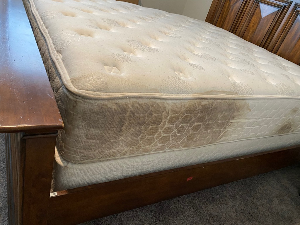 Second photo by Glenda Stroobant of Oasis Moving and Storage - Large