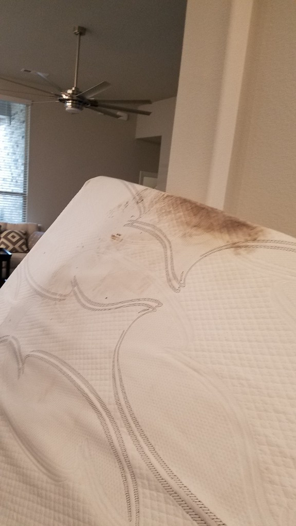 Photo by Jennie Campisi of Transit Systems Inc - Large