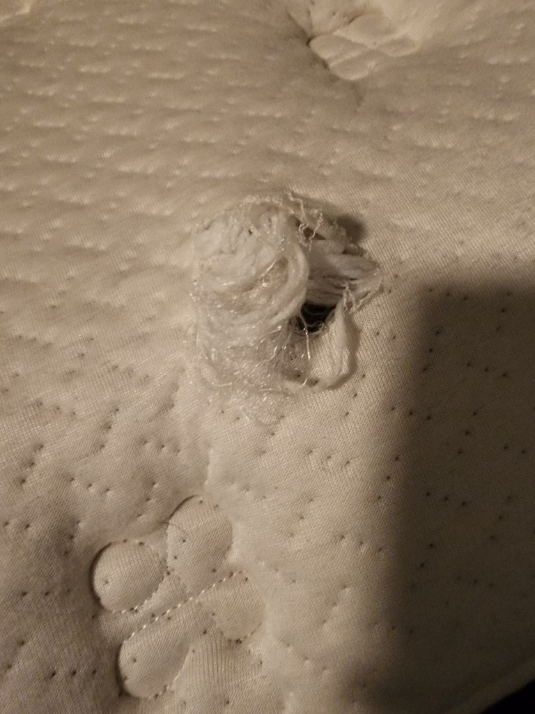 Second photo by Amy Clark of Cita Van Lines Inc - Large