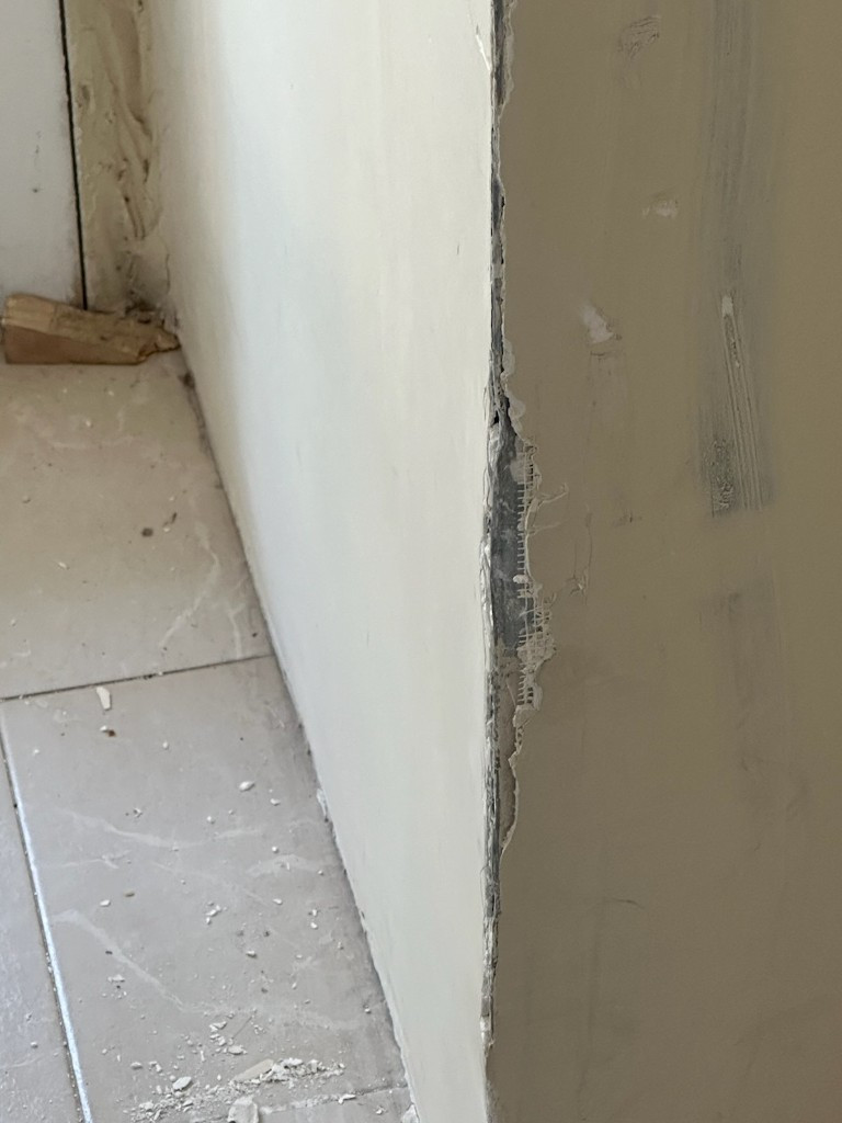 Photo by Lilla Montemarano of Dumbo Moving and Storage - Large