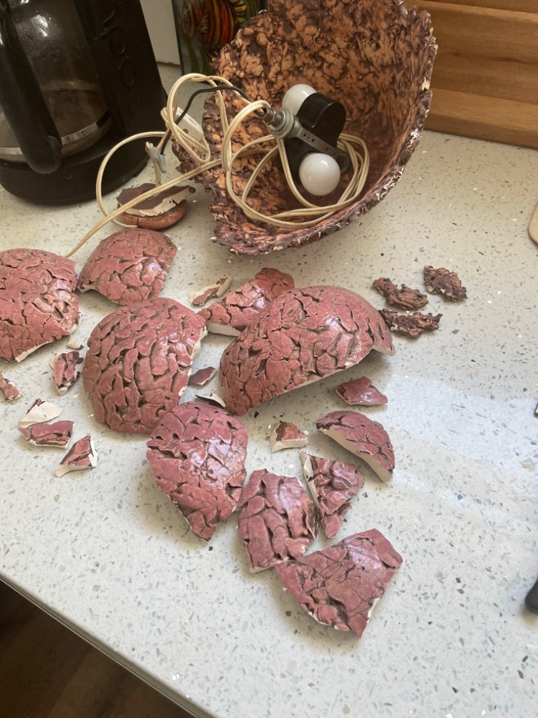 Photo by Janice Hofer of GoodView Moving and Storage - Large