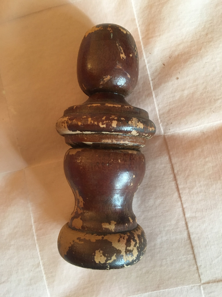 Photo by Rev Jo Green of Zippy Shell Incorporated - Large