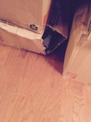 Photo by N. Orange of East Coast Moving & Storage - Large