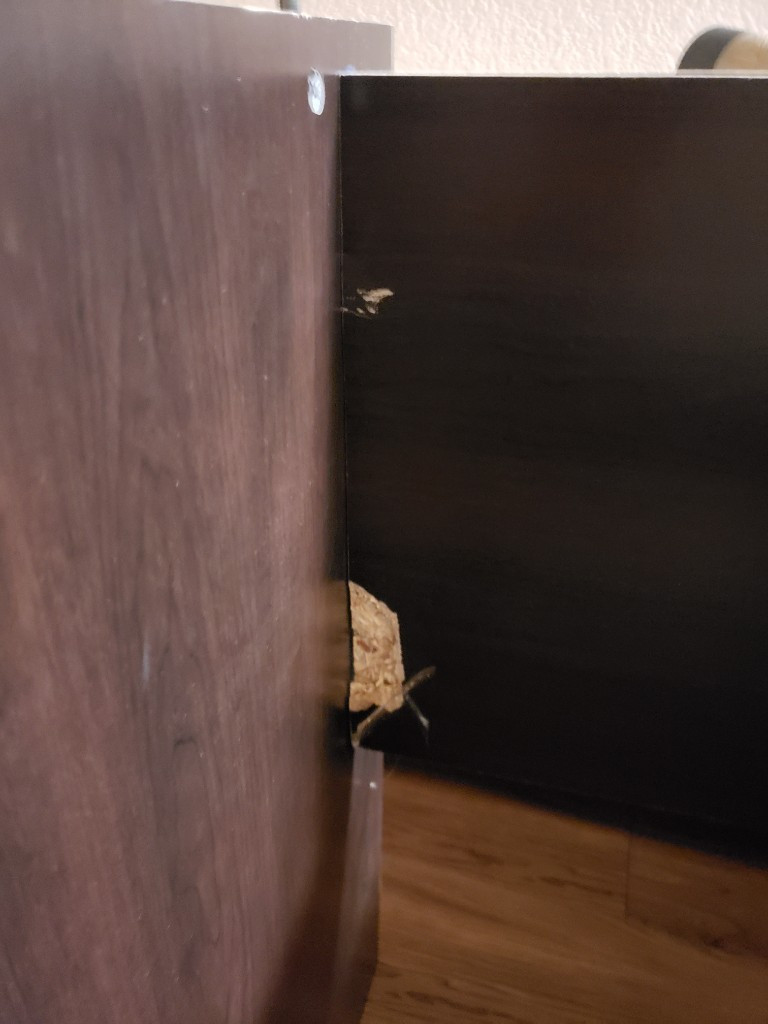 Photo by Soumitra Biswas of North American Moving Experts LLC - Large