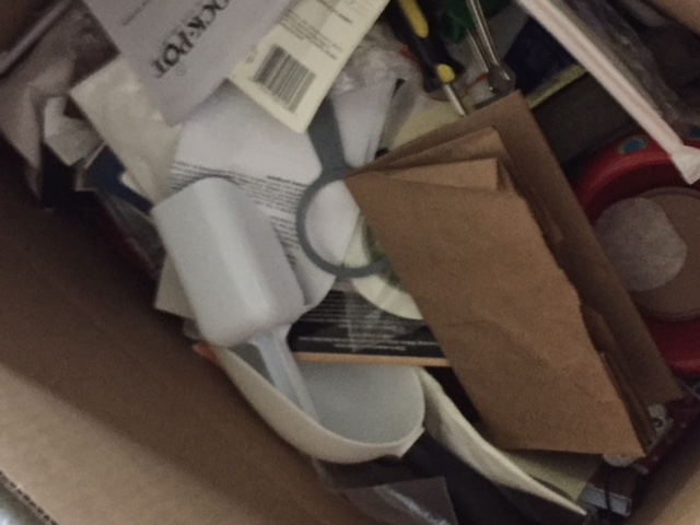 Photo by Emily of GroveStars Moving - Large