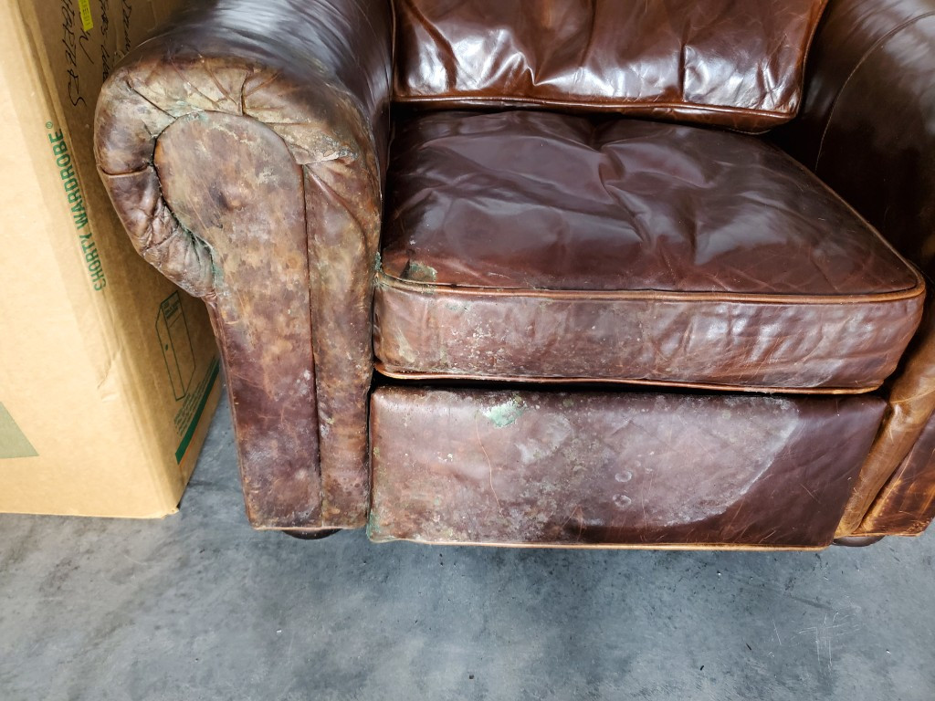 Photo by Rick Sordahl of Alltrust Movers - Large