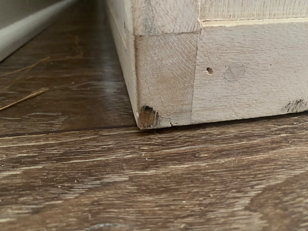 Photo by Anthony Tarta of Move Central - Large