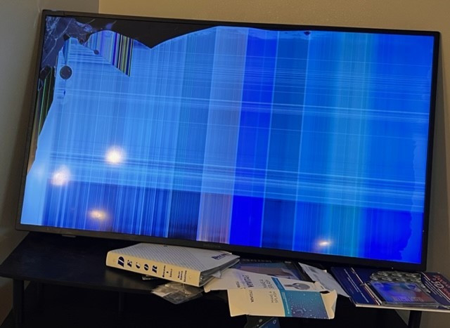 Photo by Peter Udo of Handle With Care Moving and Storage LLC - Large