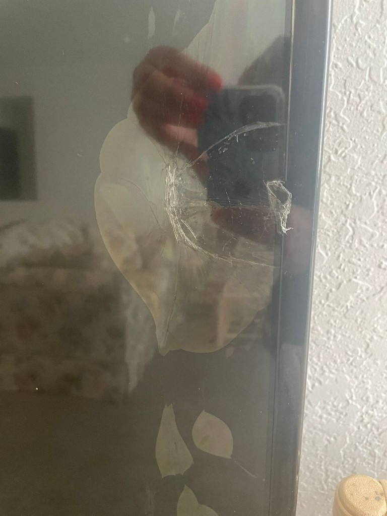 Photo by Beth Andrews of Belmont Moving and Storage - Large