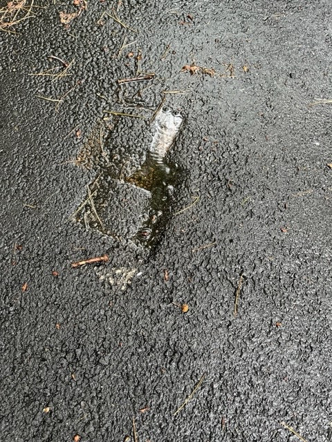 Photo by Julia Bennett of PODS Moving and Storage - Large