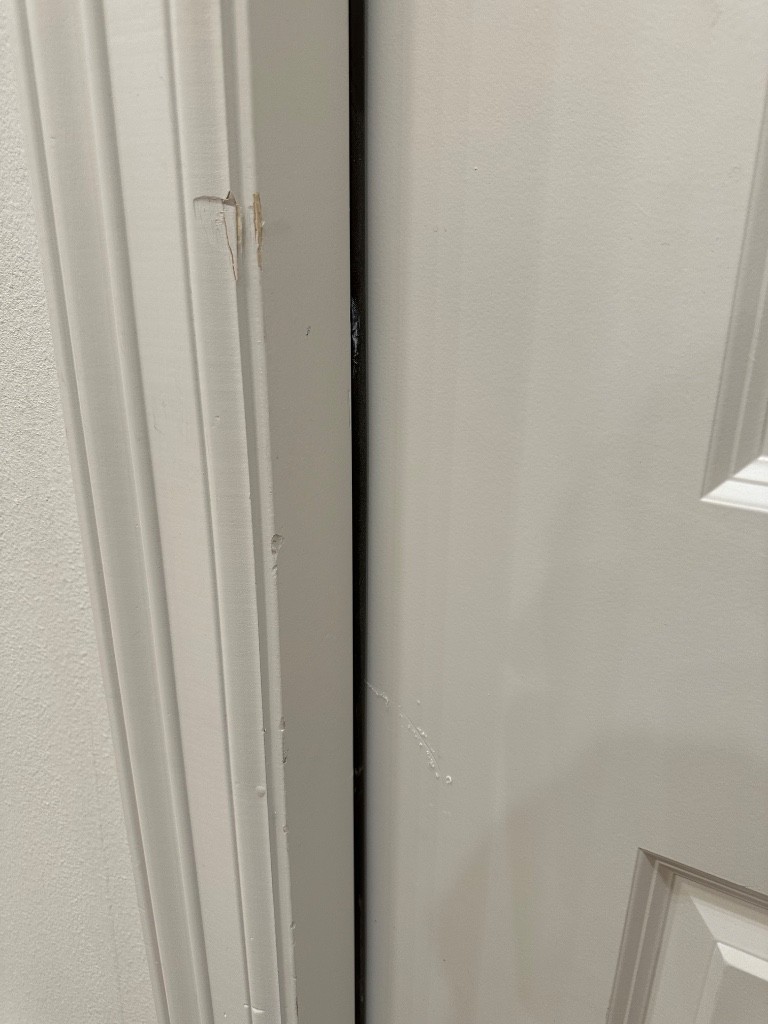 Second photo by Daniel Nagore of ICANN Moving & Packing - Large