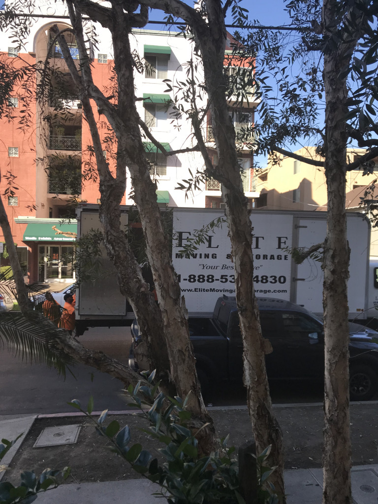 Photo by Shoshana of Elite Moving & Storage - Large