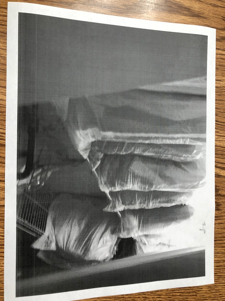 Second photo by Linda Doyle of AAA Movers - Large